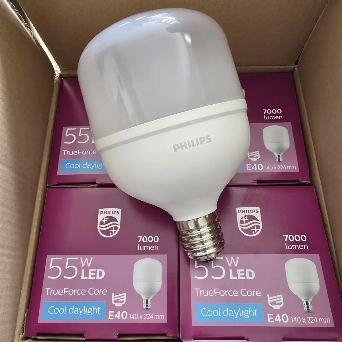 Philips lampu Gudang Trueforce Core Pro 55W E40 6500K