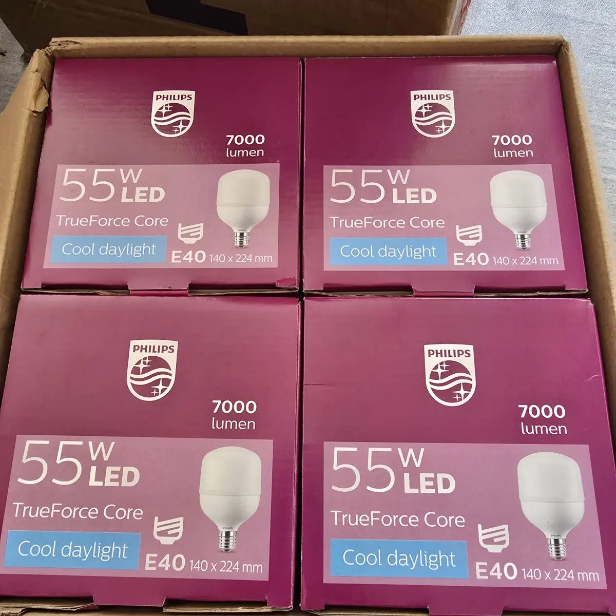 Philips lampu Gudang Trueforce Core Pro 55W E40 6500K