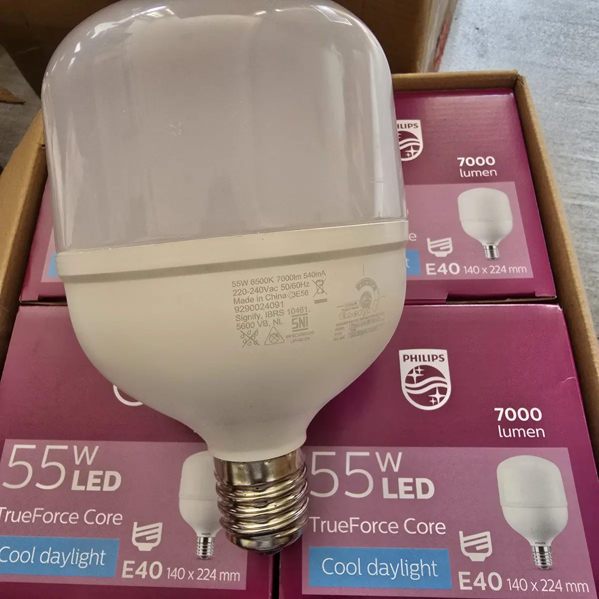 Philips lampu Gudang Trueforce Core Pro 55W E40 6500K